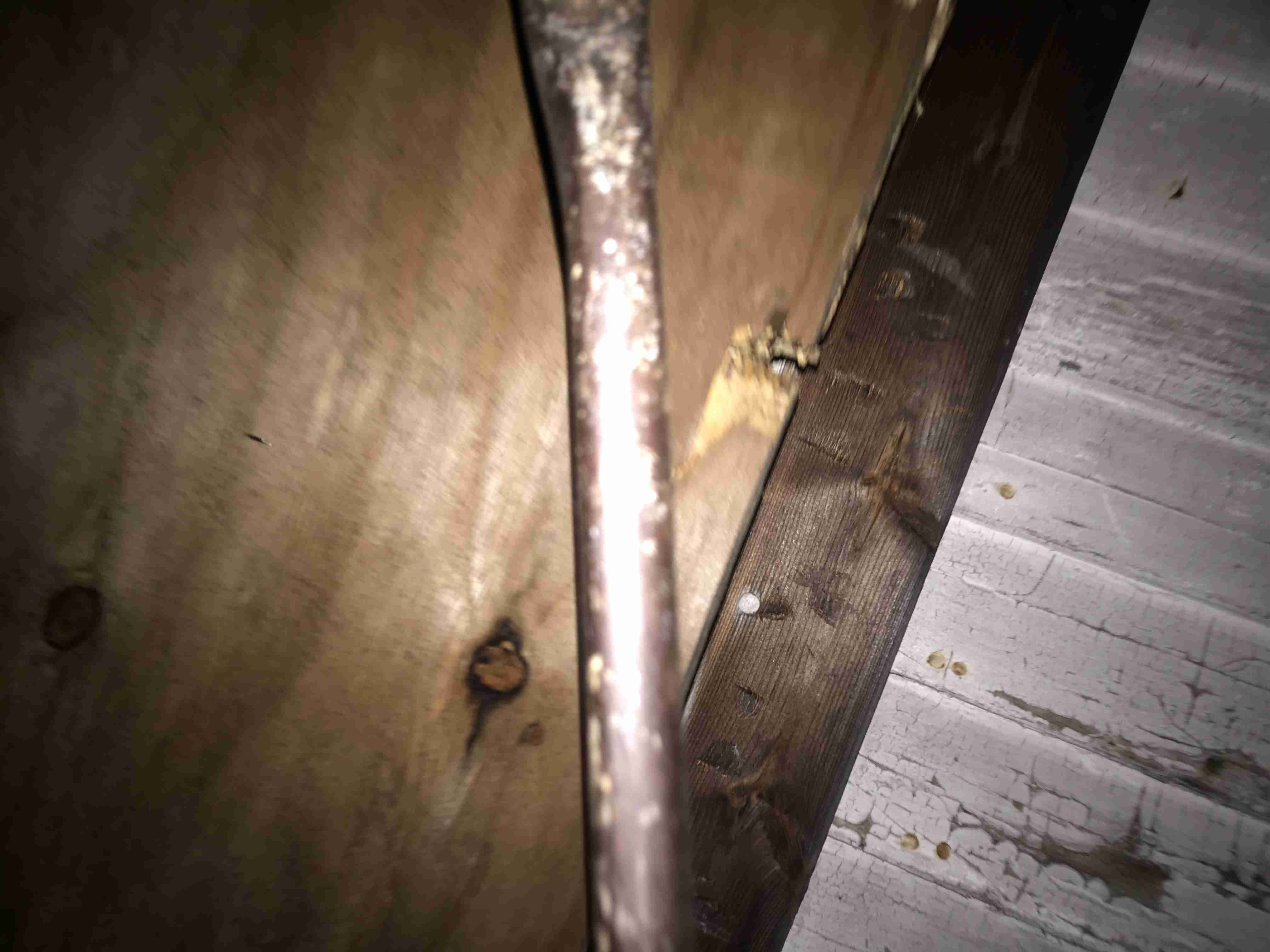 Photo Oct 13, 7 18 24 PM.jpg